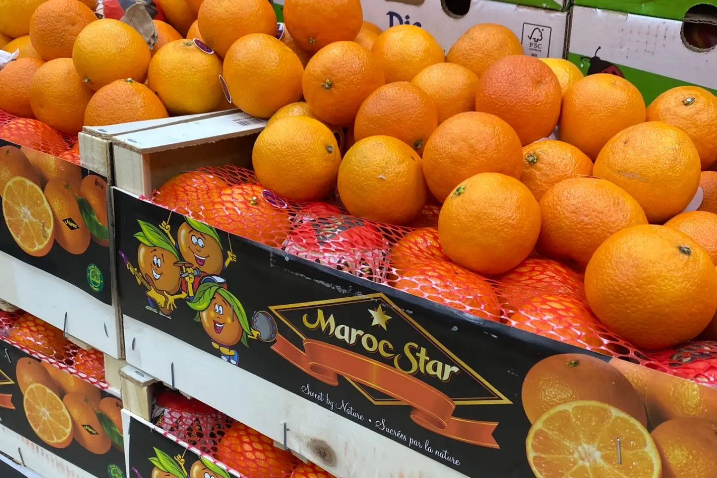 يوسفي مغربي - ٥٠٠جرام