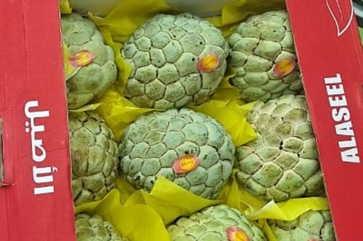 فاكه القشطه - ٥٠٠جرام