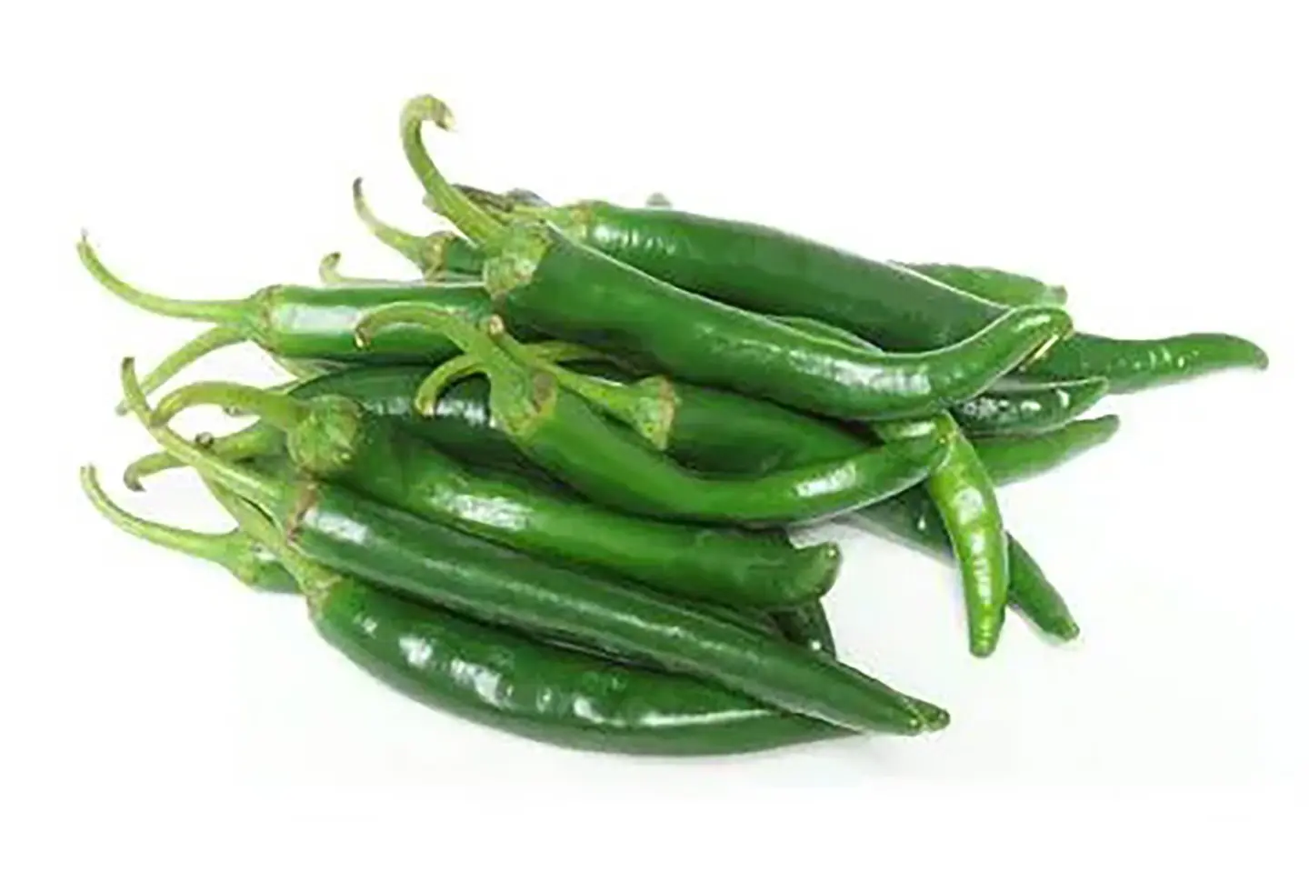 فلفل حار هندي - ١كيلو