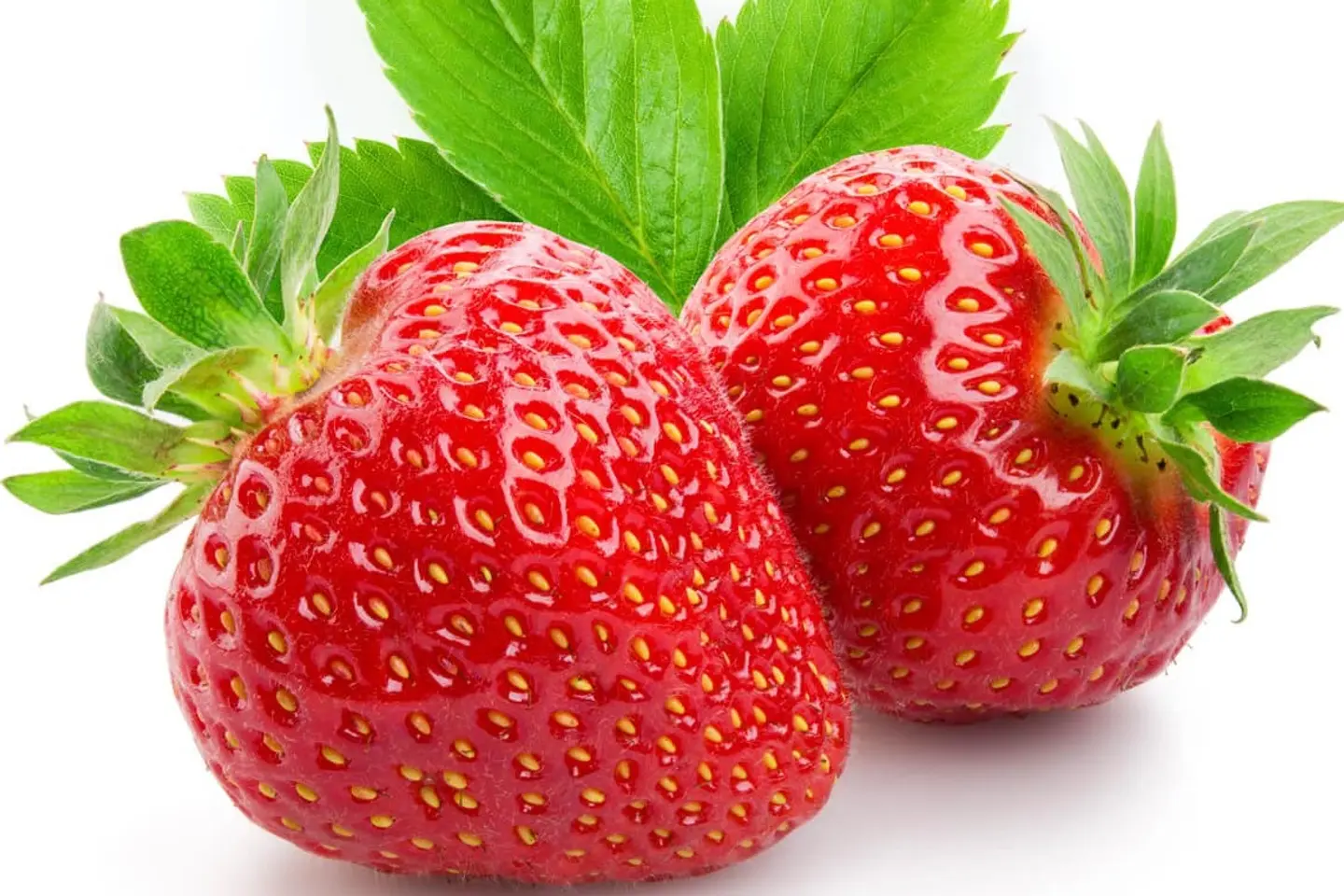 فرواله مصري علبه - فراوله مصري كرتون