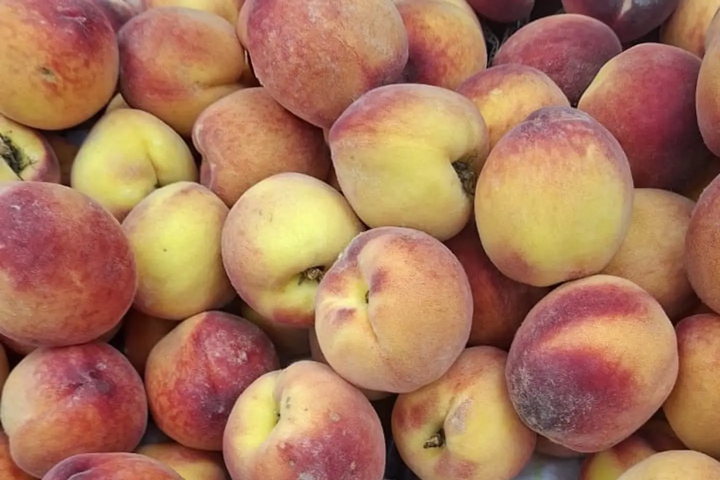 خوخ - ٥٠٠جرام