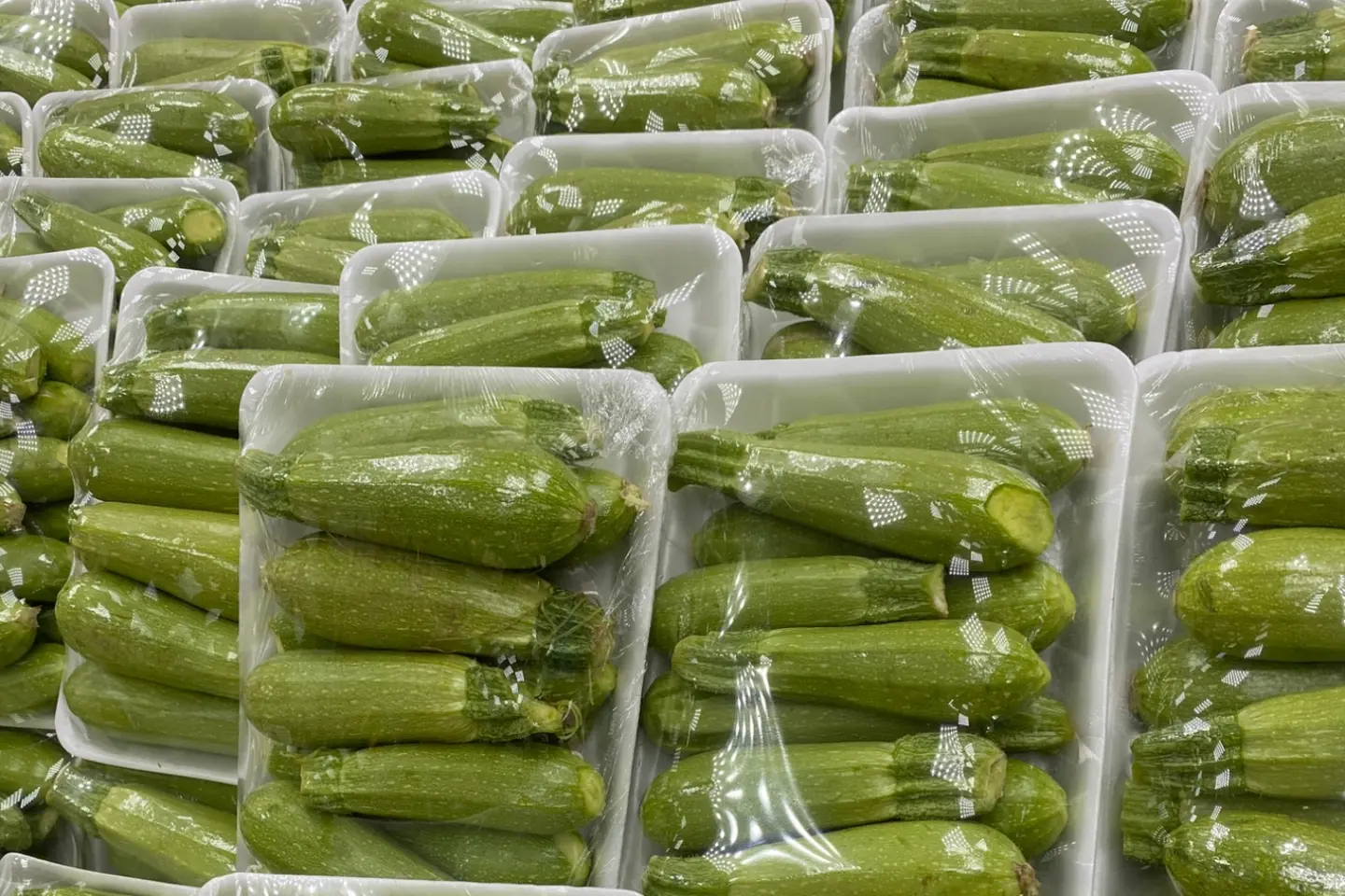 كوسا - ٥٠٠جرام