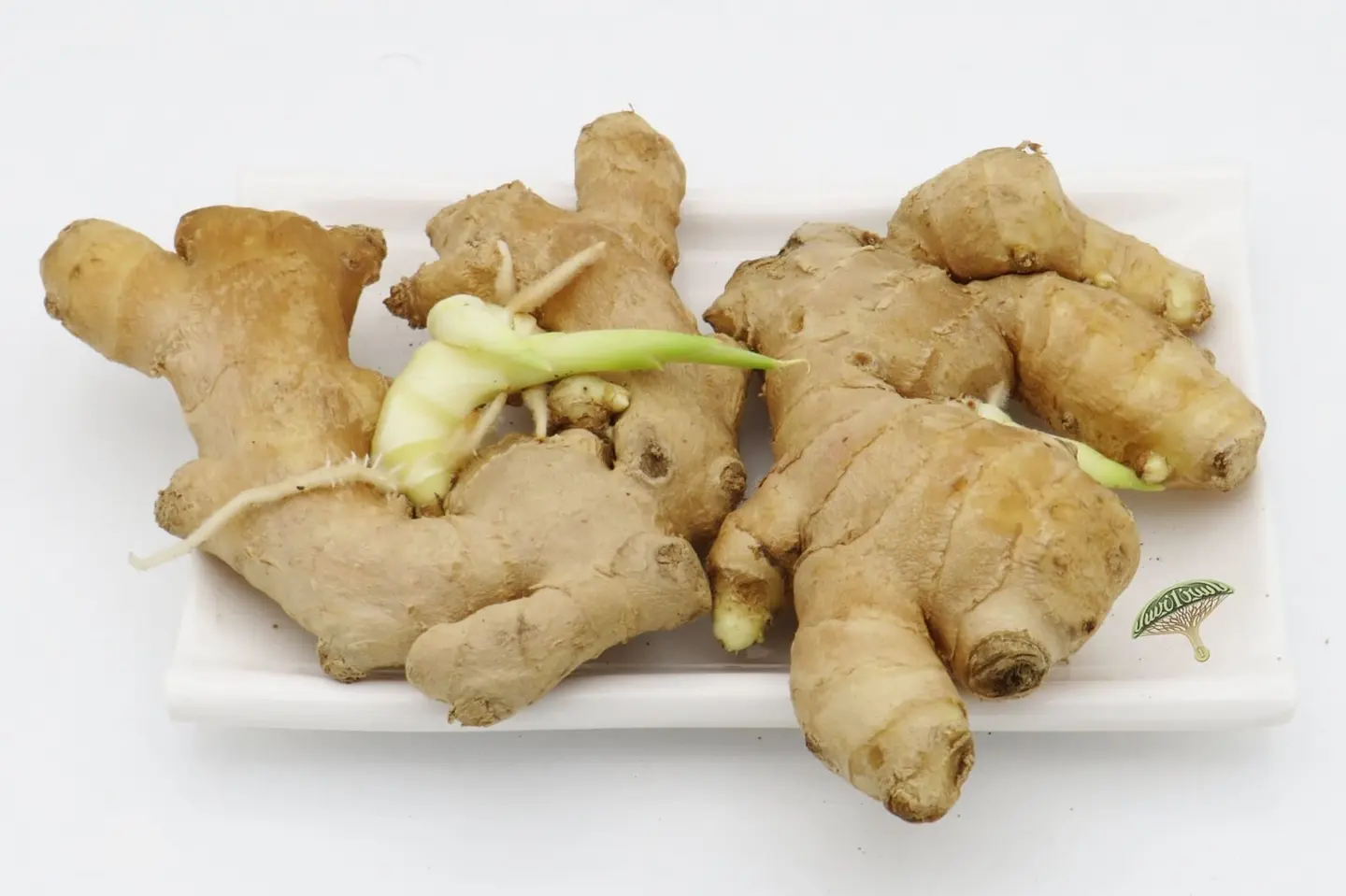 زنجبيل اخضر طازج - ٥٠٠جرام
