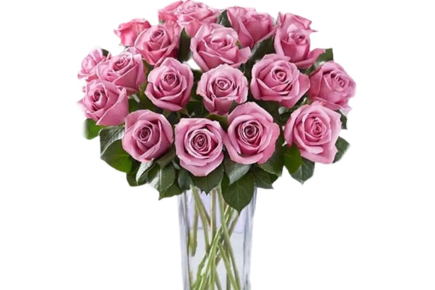 ف ٢٤ فازة ورد ٢٥ ورده لون - فازة ورد ٢٥ ورده لون وردي