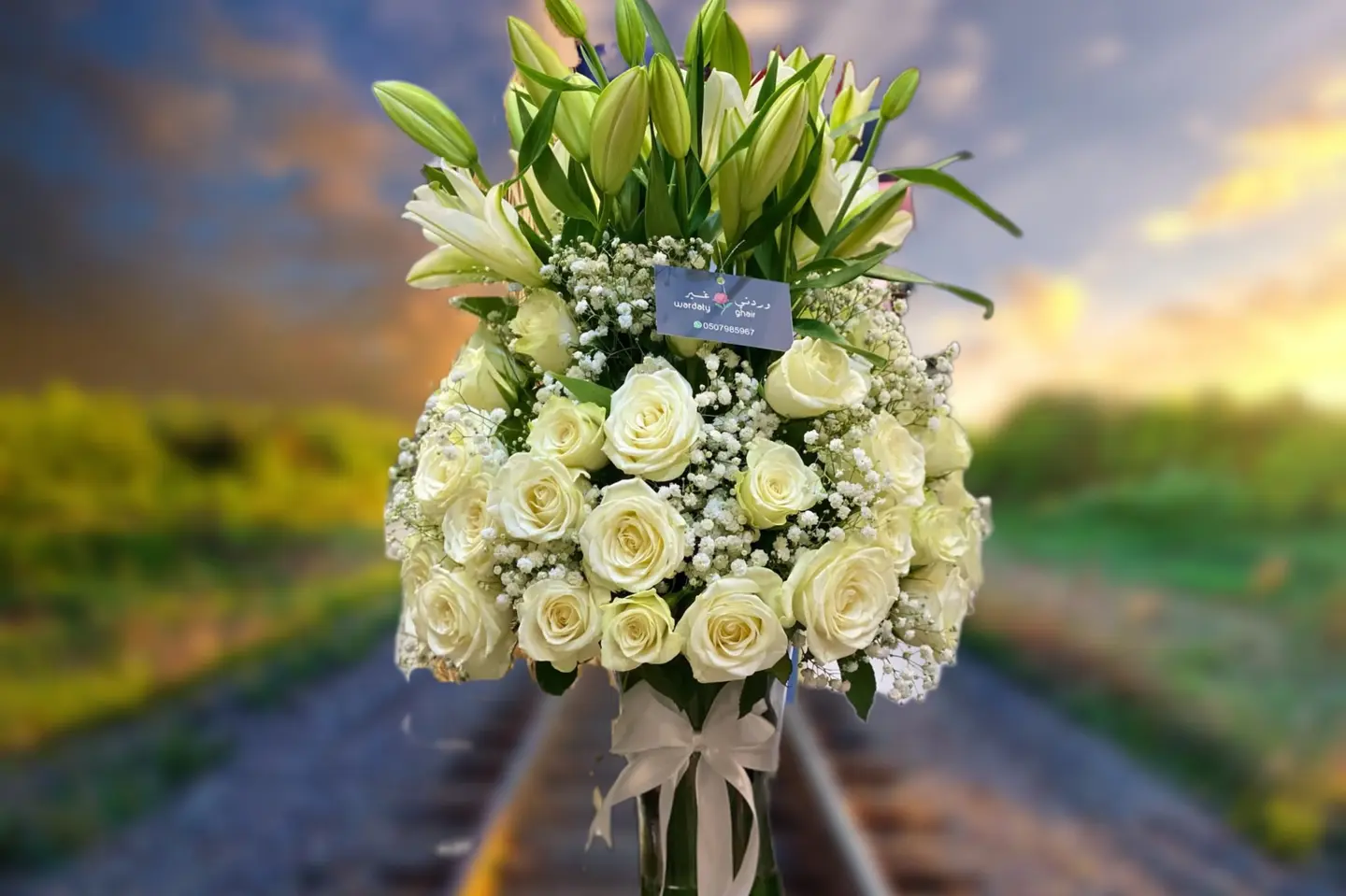 ف ٥٧ فازة ورد ورد لليوم أبيض - فازة ورد ٥٠ حبة ورده لون أبيض ‏لليوم لون أبيض ٥ حبة