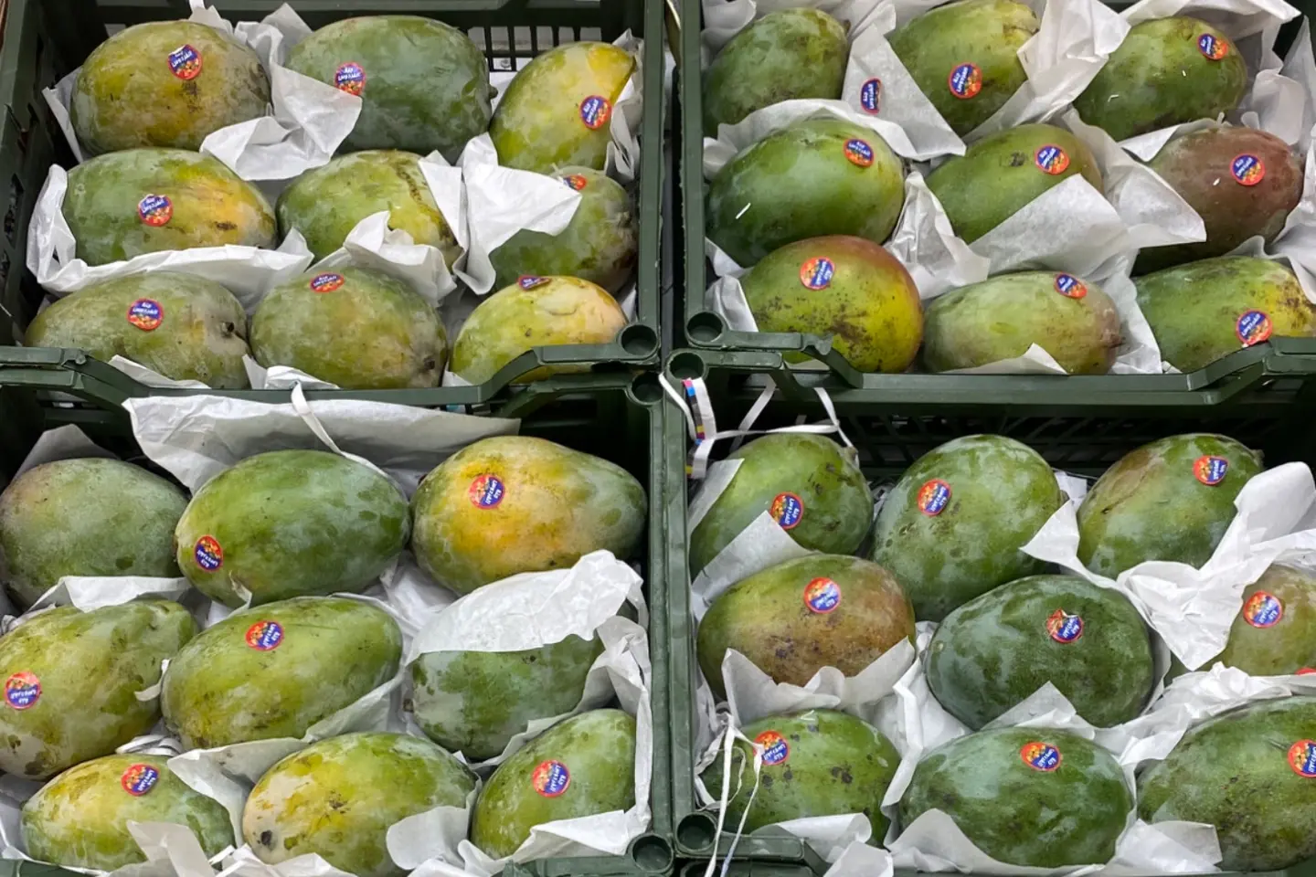 مانجو - ٥٠٠جرام