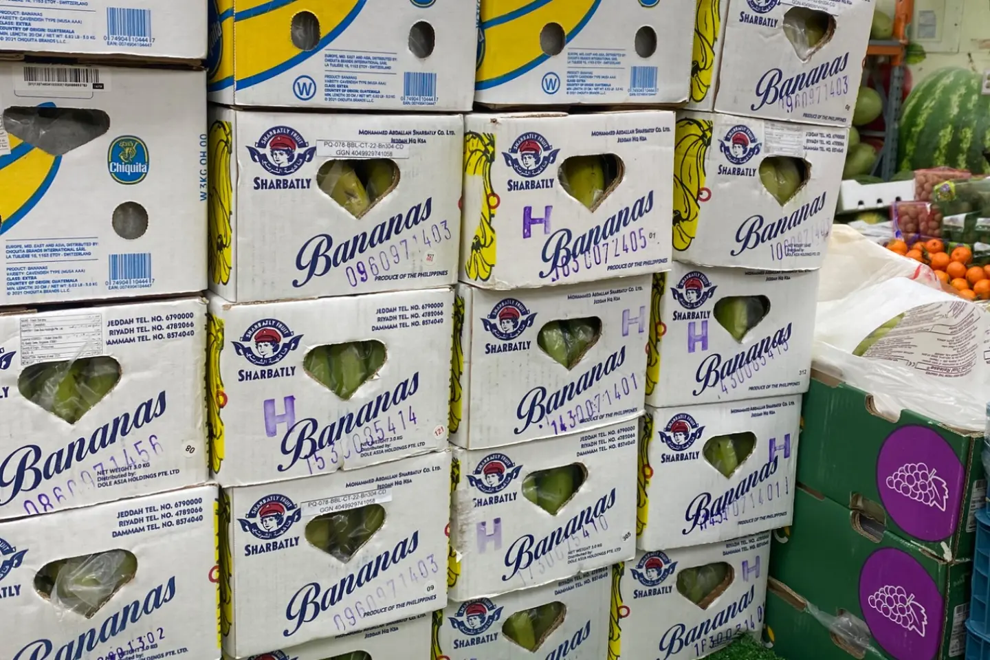 موز سكري صغير٠ - موز سكري صغير كرتون