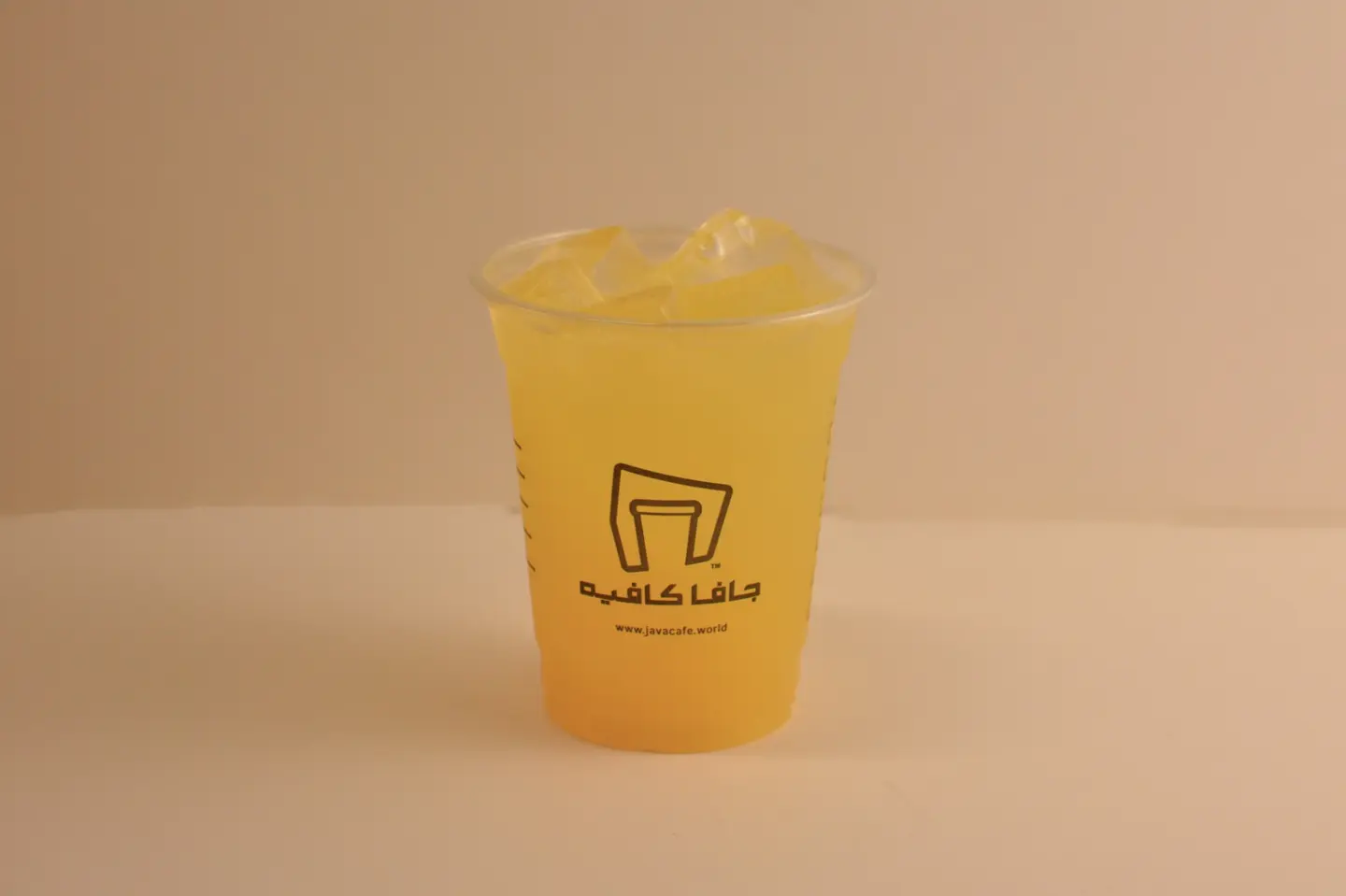 Orange Juice - Large