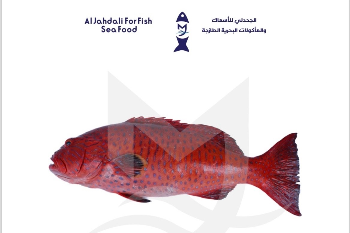 ناجل - مقلي