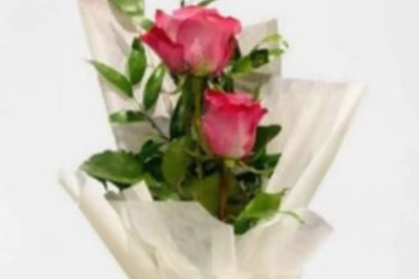 باقه ورد جوري مع اكسسوارات راقيه - الورد باللون الفوشي