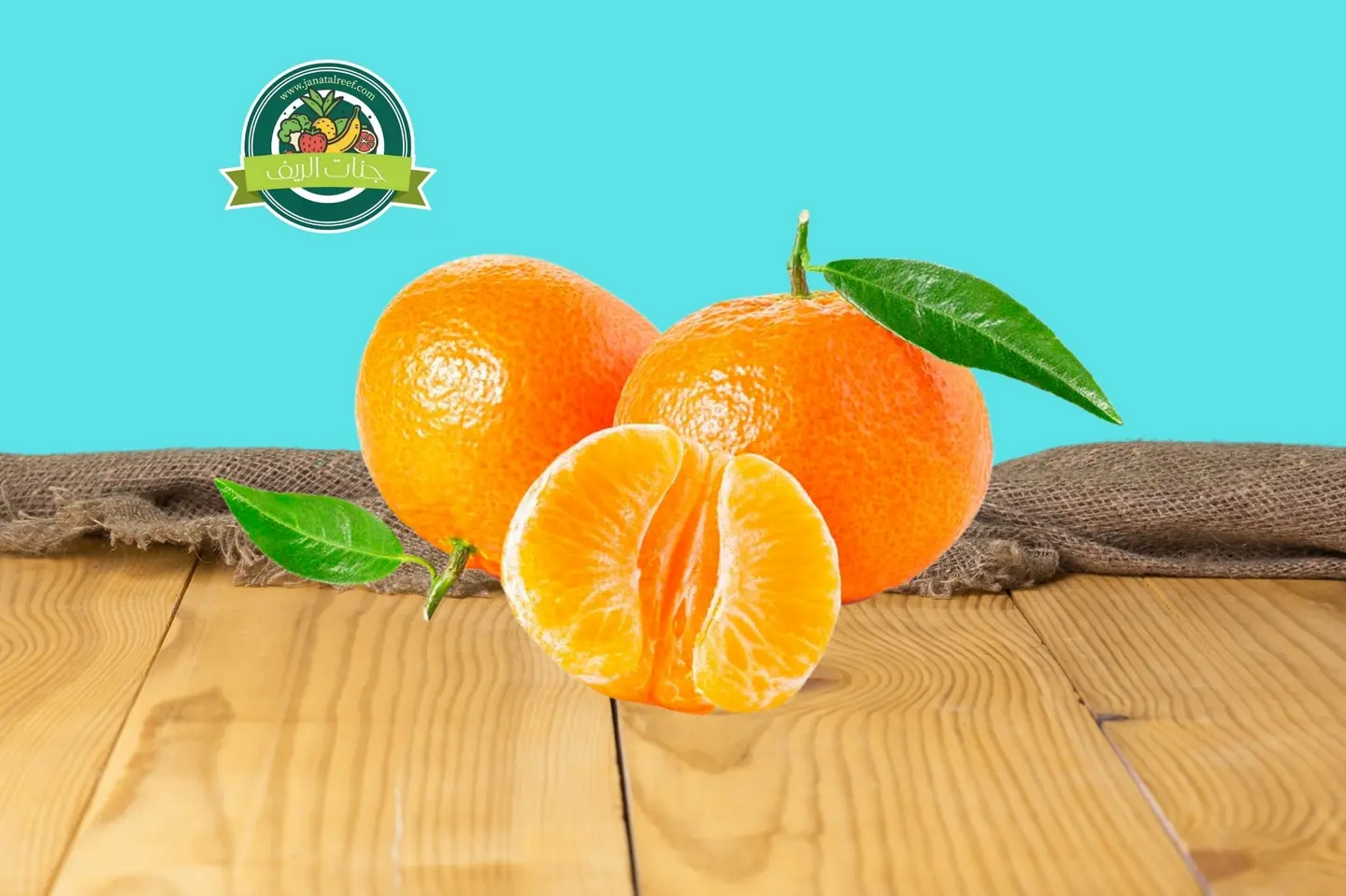 ‏أفندي مغربي - نص كيلو افندي مغربي