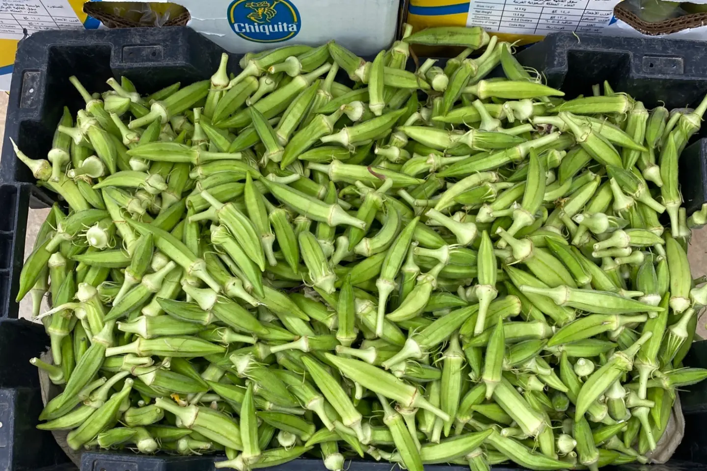 باميه حساوي - ٥٠٠جرام