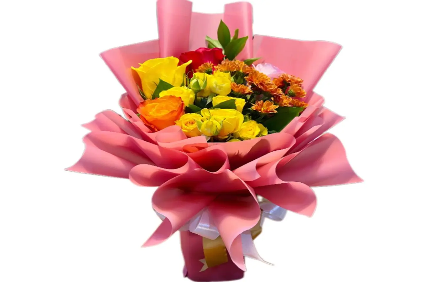 Ravishing - Double Colour