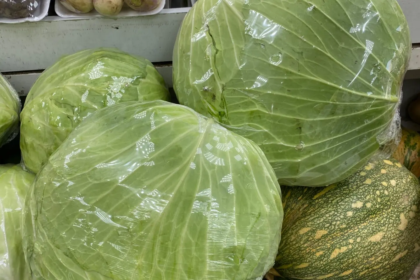 ملفوف محشي حبه - ملفوف عادي