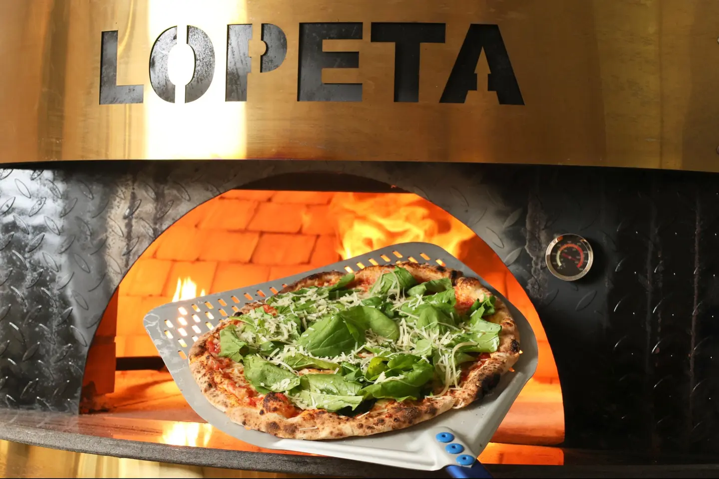 بارمافيرا - الكبير