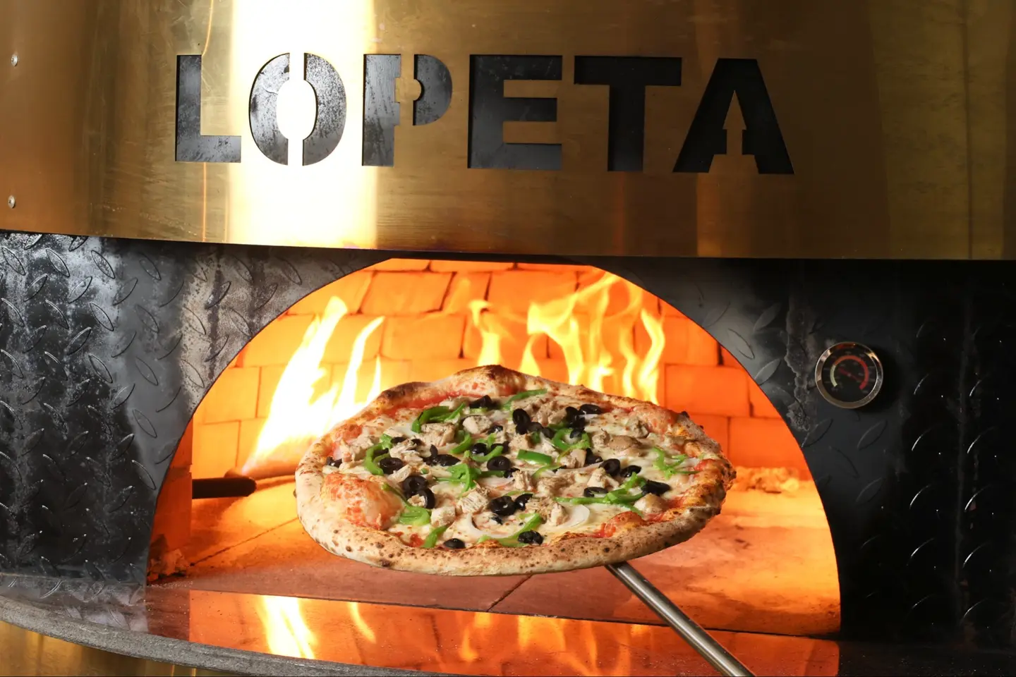 ماكسيكانا الدجاج - وسط