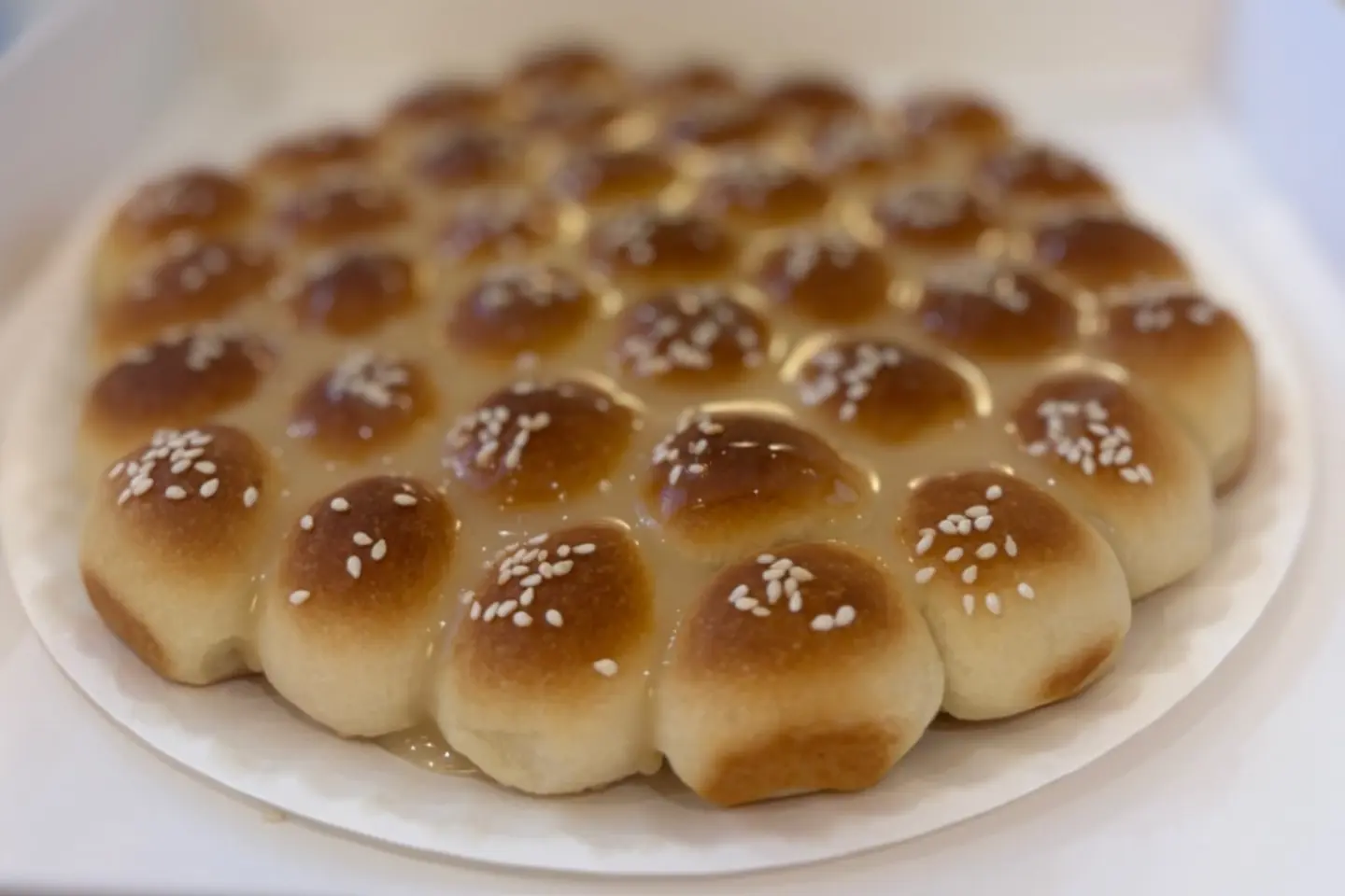 خلية شيرة - كبير