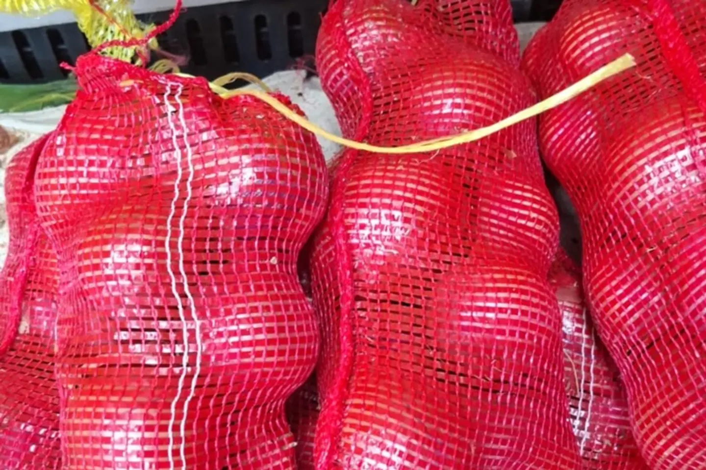 بصل بذره يمني كيسه صغير كيلو - بصل بذره يمني كيس ١كيلو