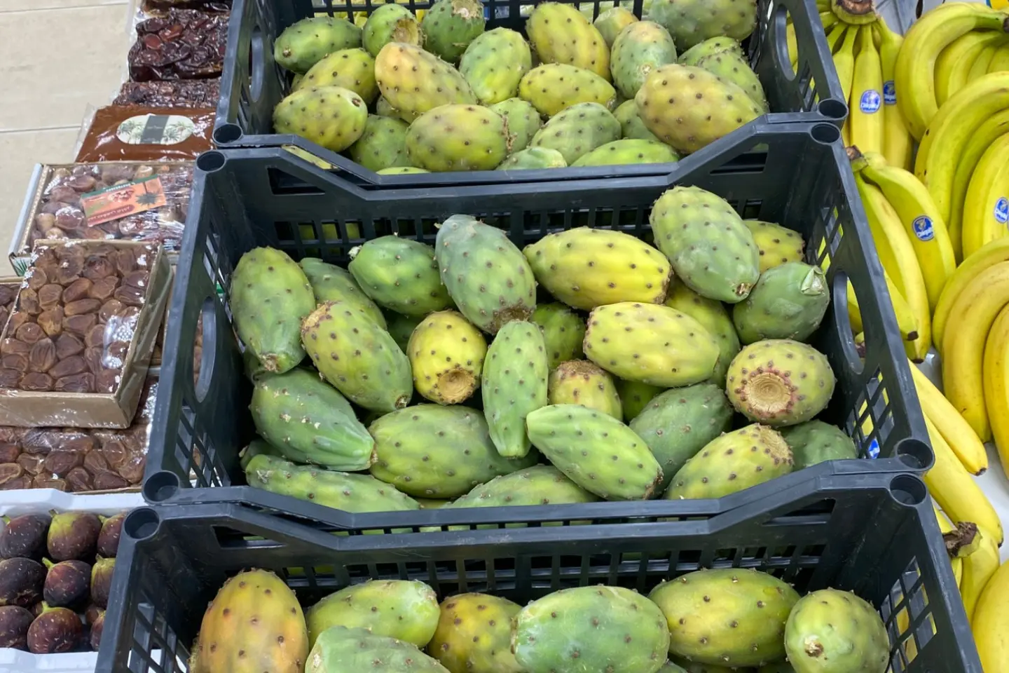 Prickly Pear - Prickly Pear