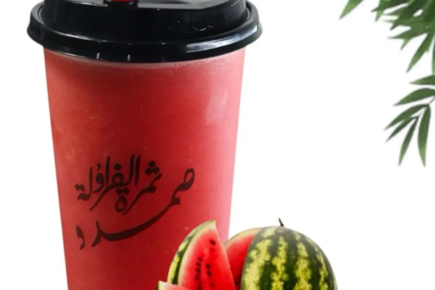 Watermelon Slush - Medium