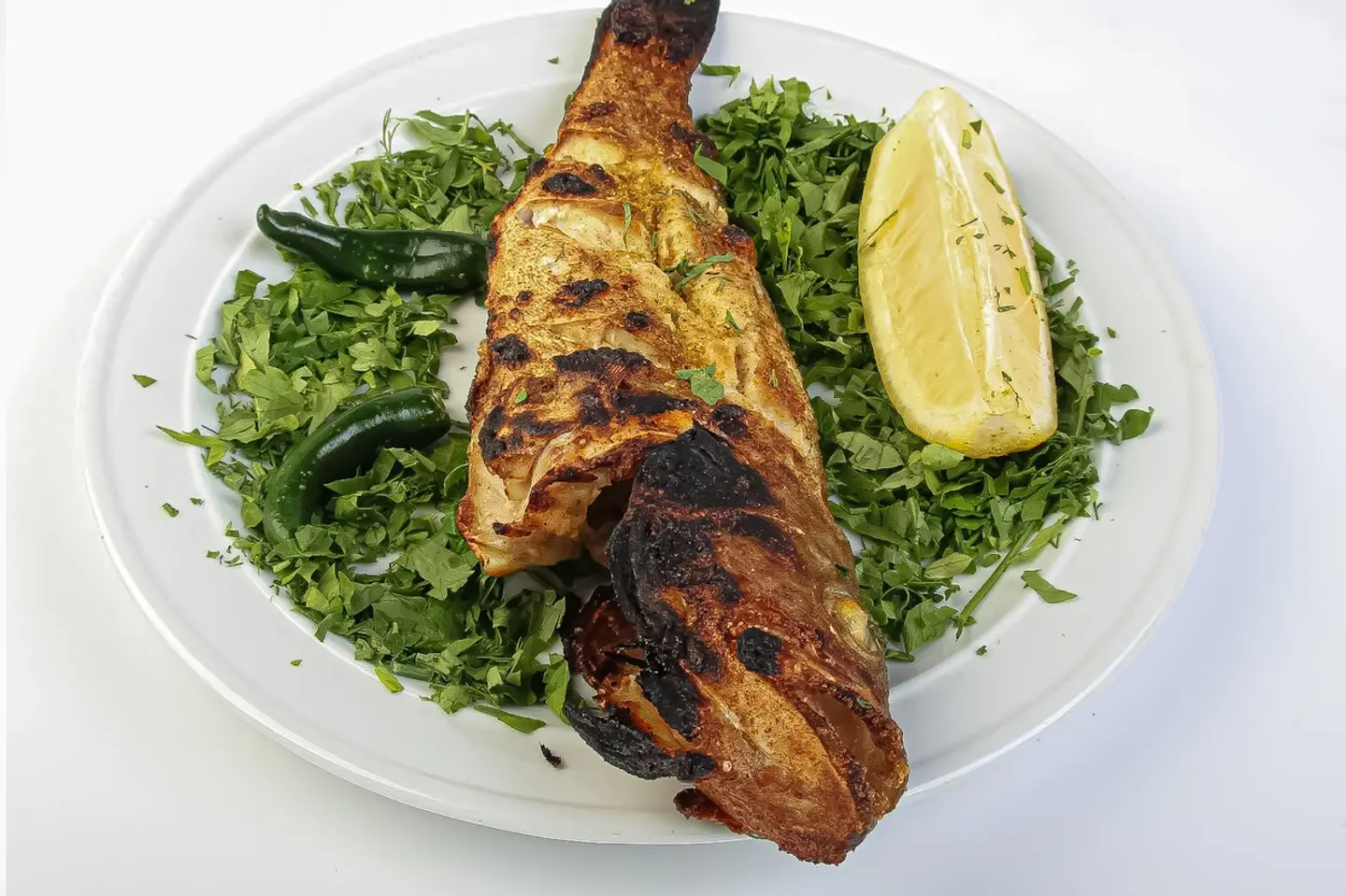 هامور - نصف كيلو