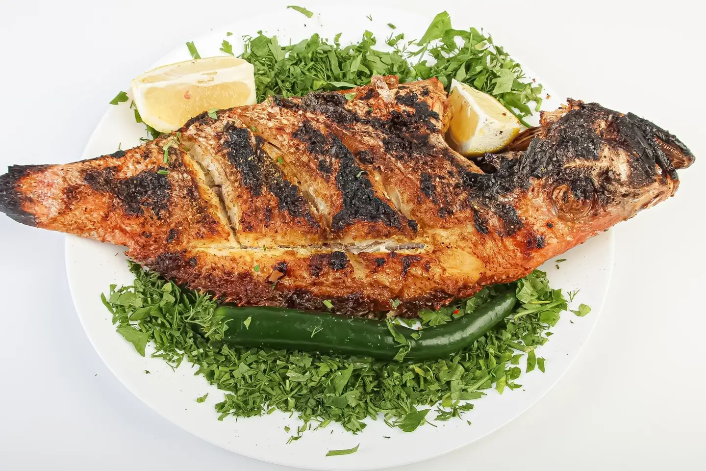 سمكة حمراء - نصف كيلو