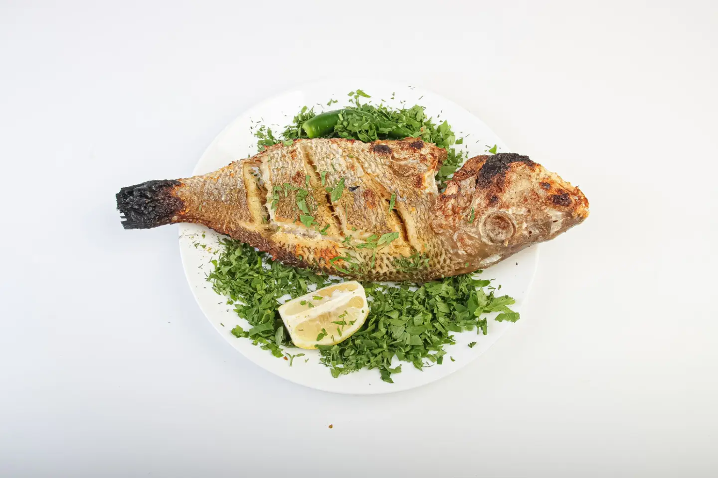 سمك الشعور - نصف كيلو