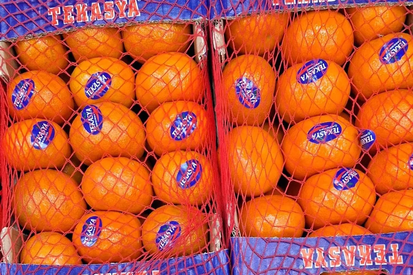 يوسفي تركي صندوق - ٥٠٠جرام