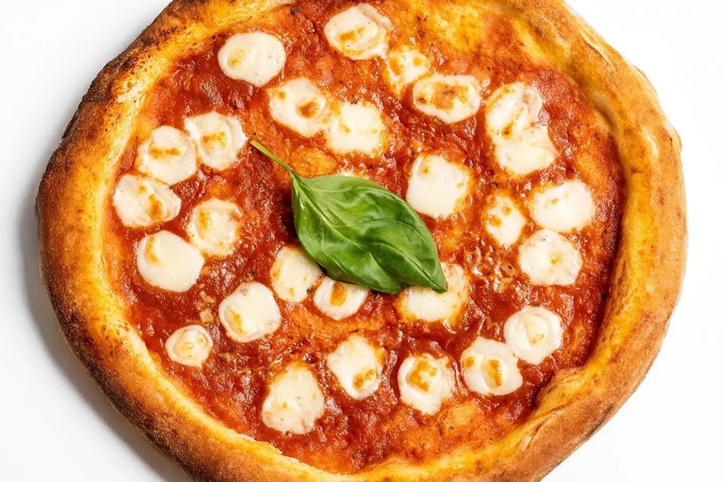 مارجاريتا - حجم كبير