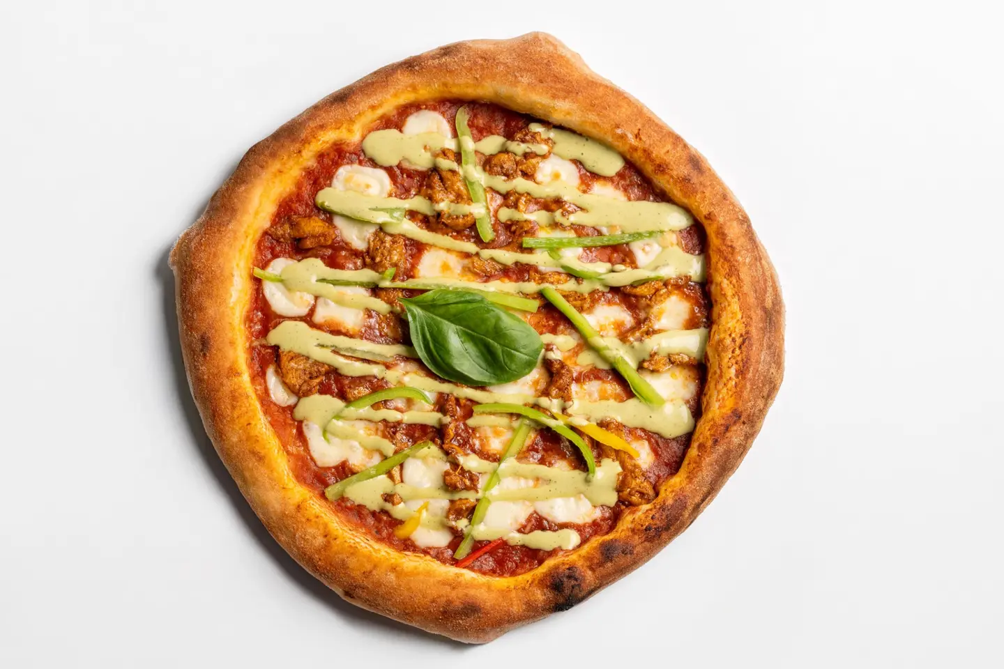 دجاج رانش - حجم كبير