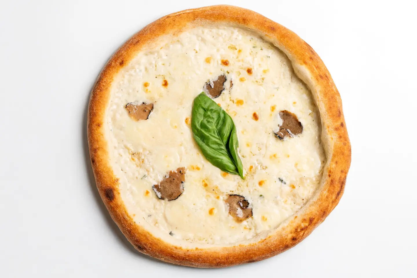 ترافل - حجم كبير