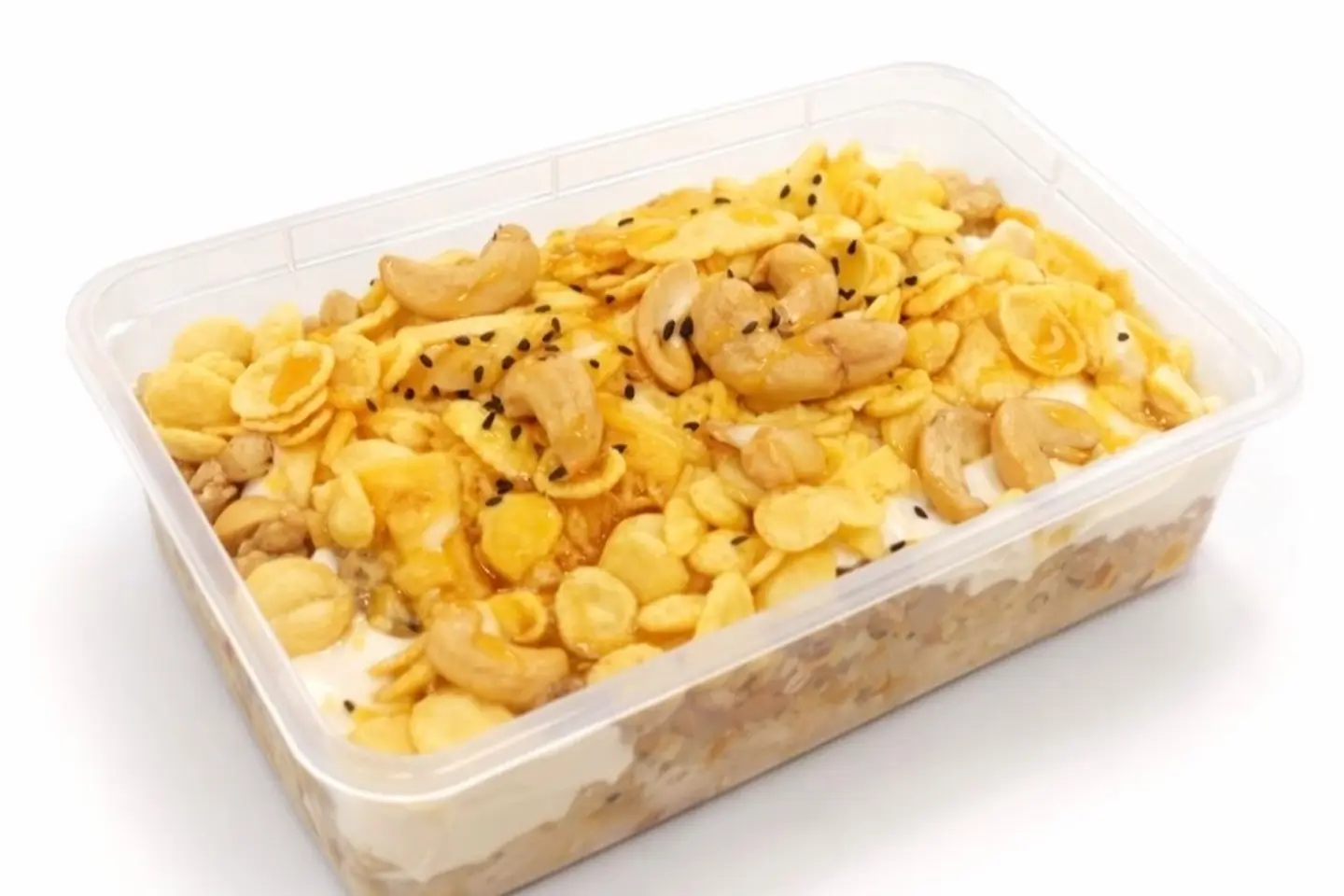 معصوب ملكي - صغير