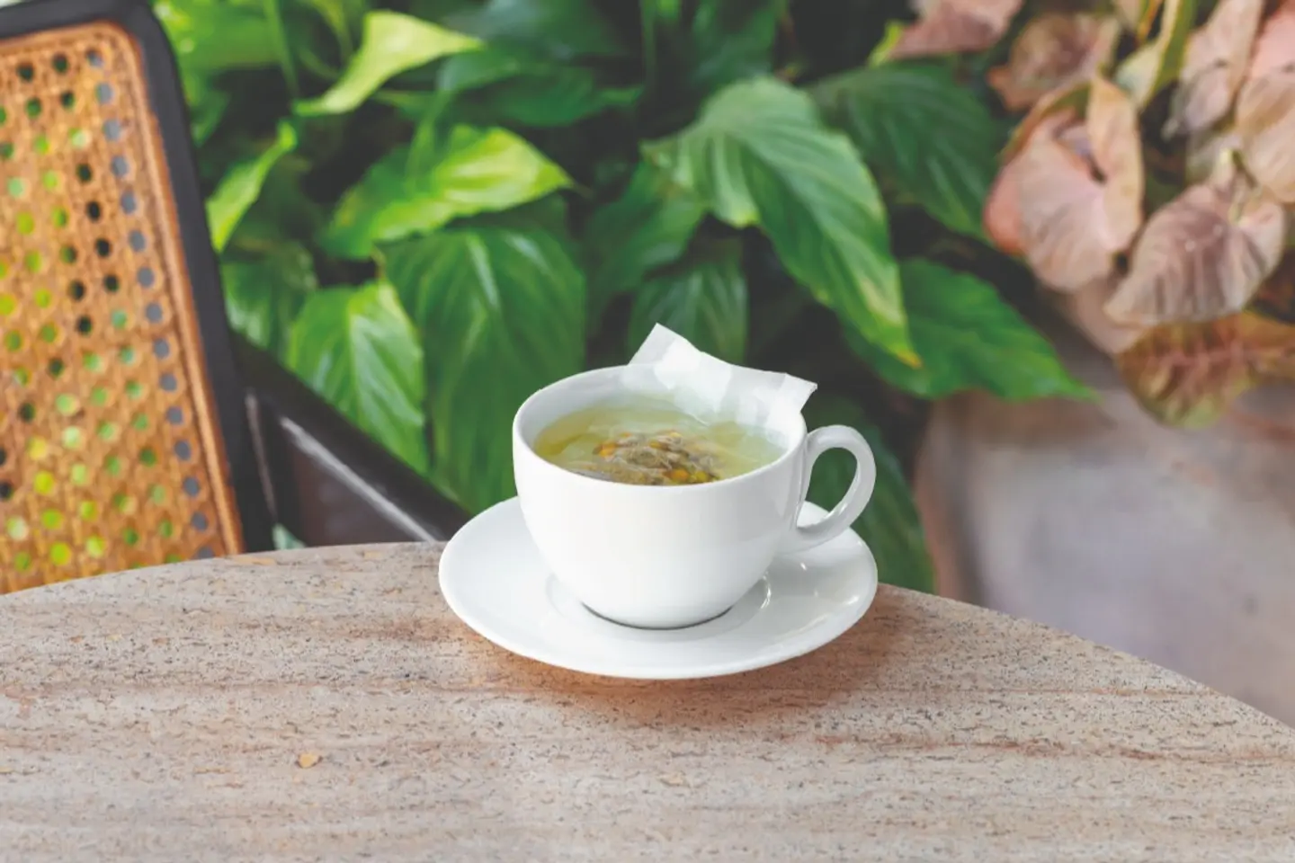 بابونج - 8 اونصة