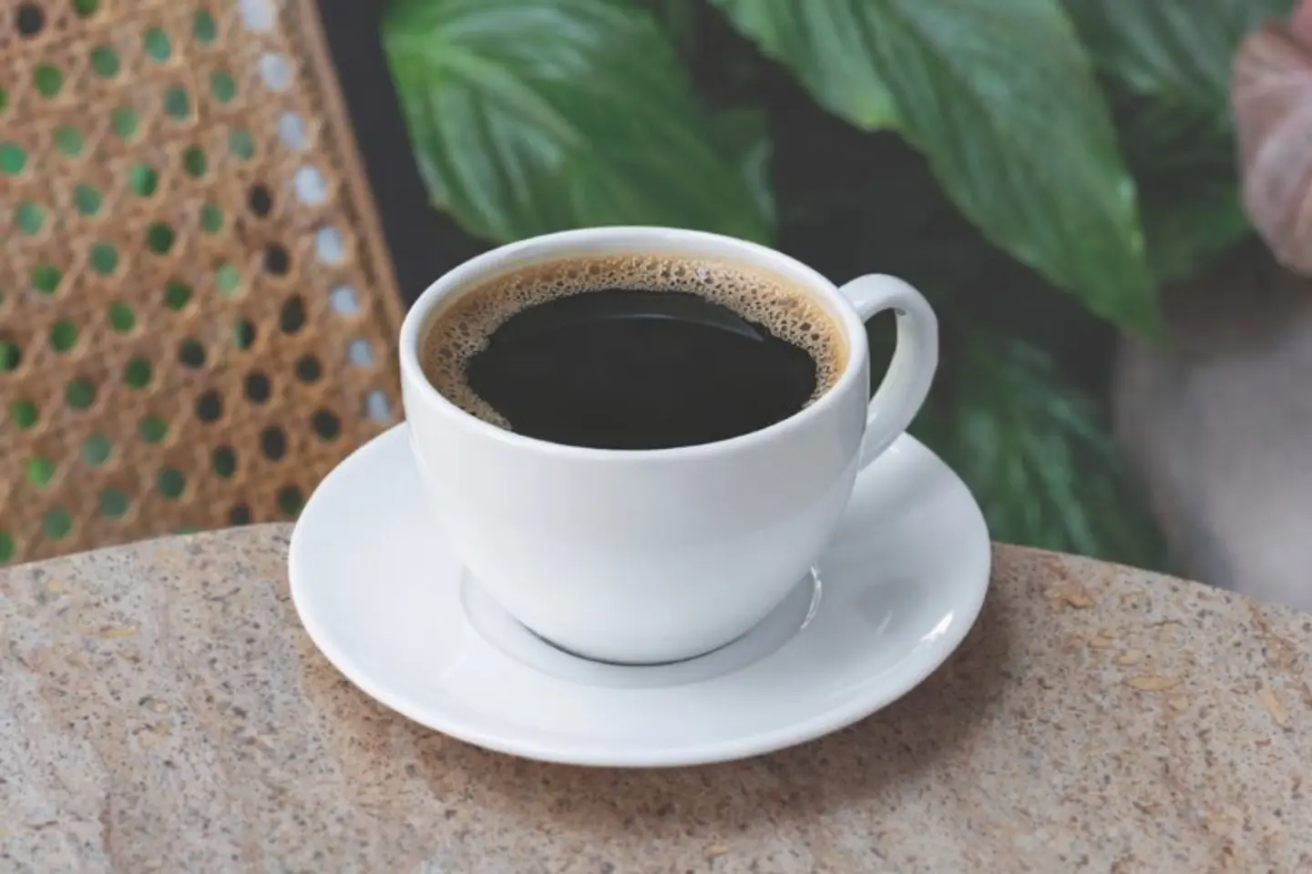 Coffee Of The Day - 8 Onz