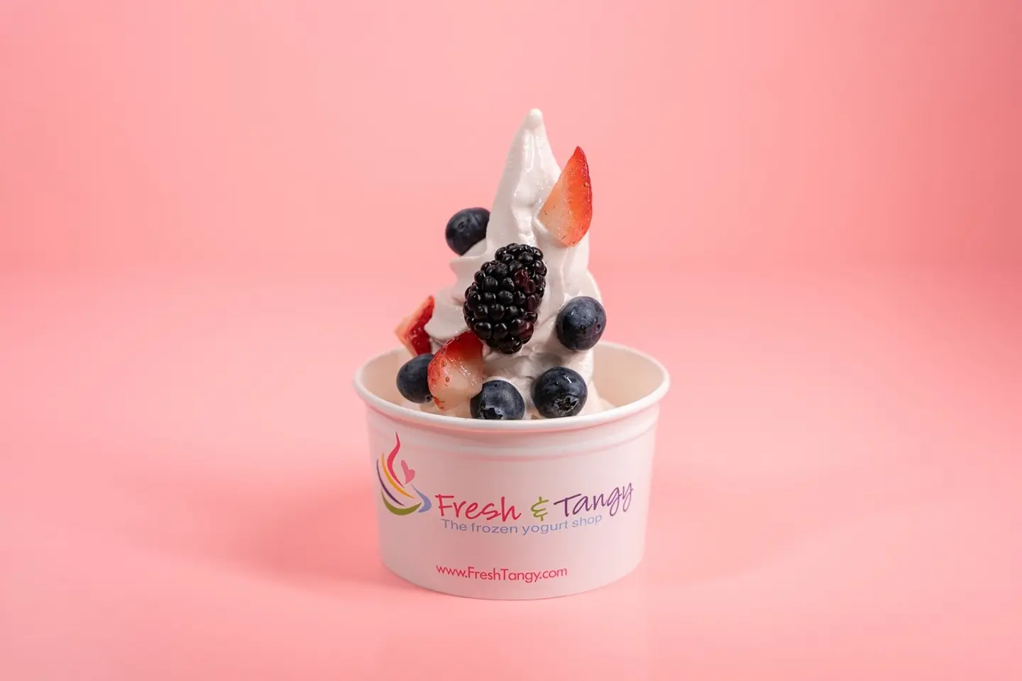 Original Frozen Yogurt - Small