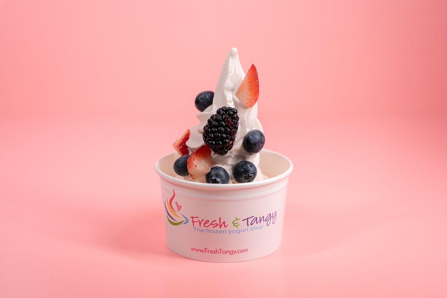 Original Frozen Yogurt - Small