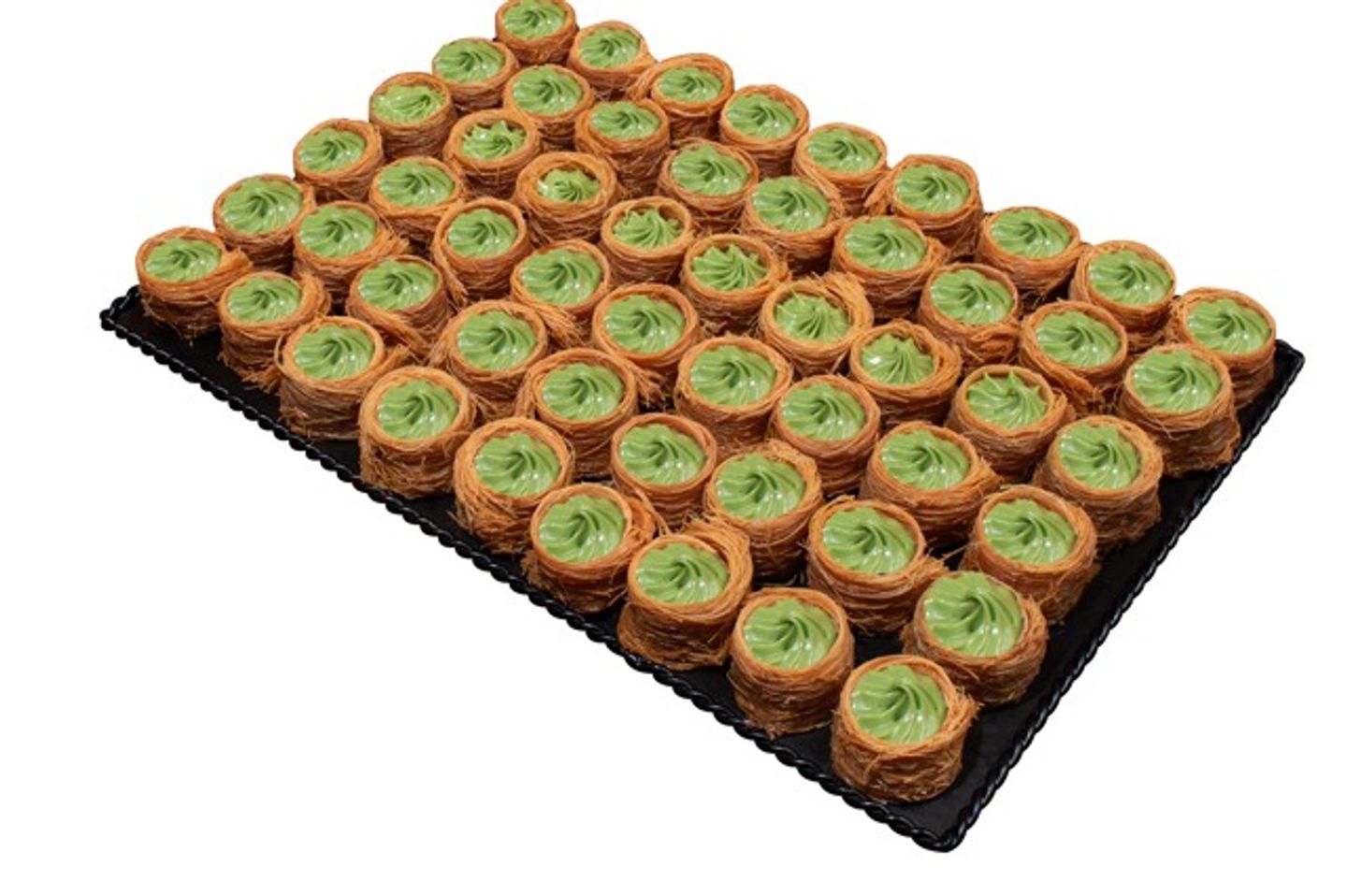 Pistachio Ash Albulbul - Small