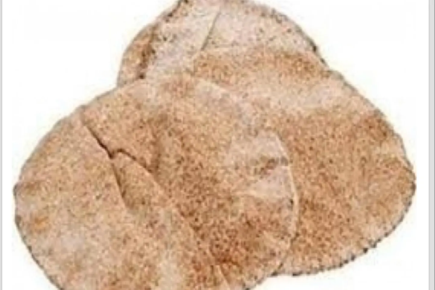 خبز مفرود - أبيض