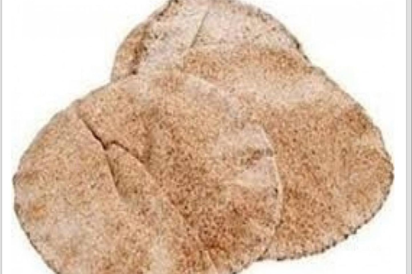 خبز مفرود - أبيض