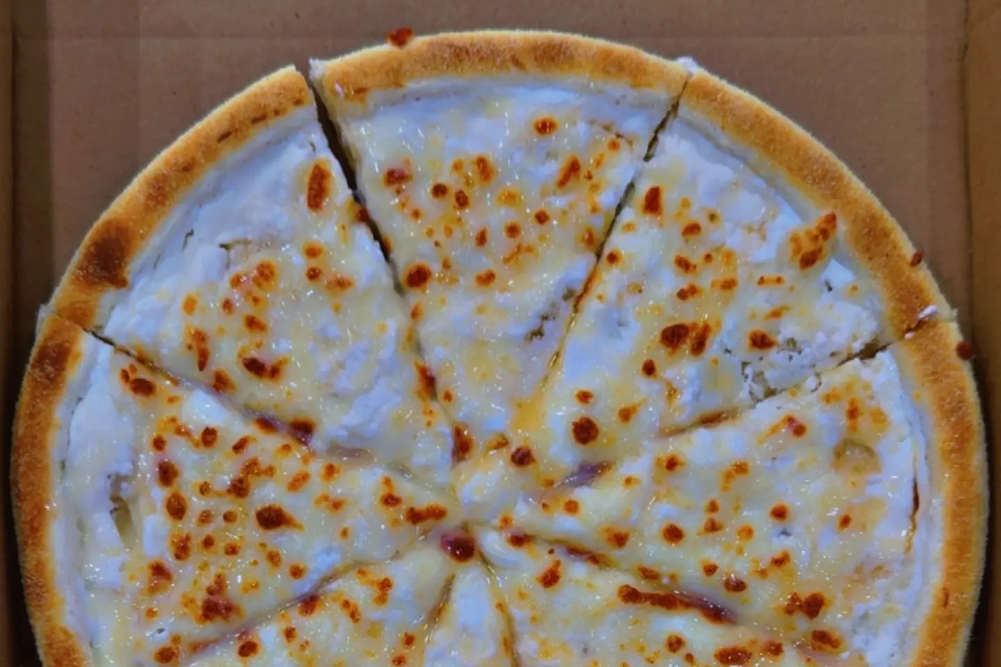 Pizza Ash Bulbul - Small