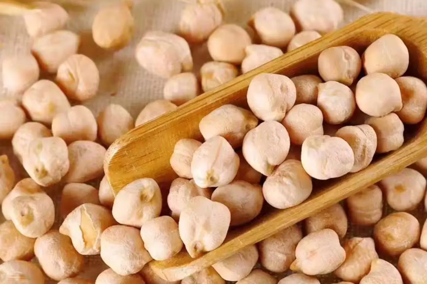 قضامة صفراء - 250 جرام