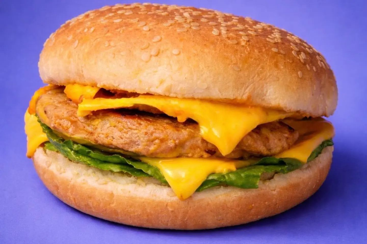 Grilled Chicken Burger Unit - Regular