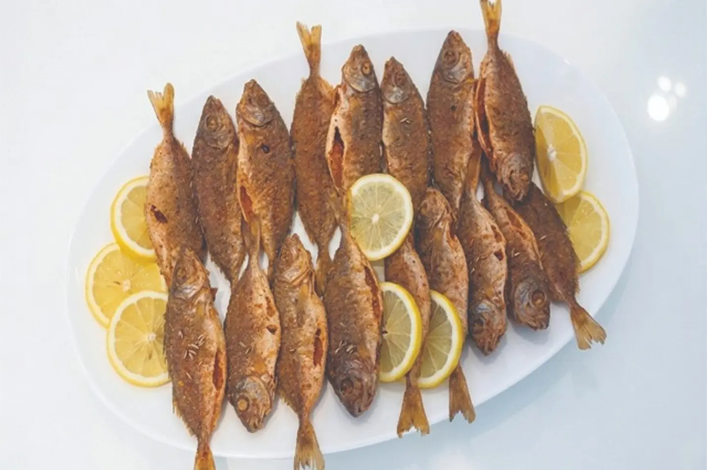 سيجان مقلي - نصف كيلو