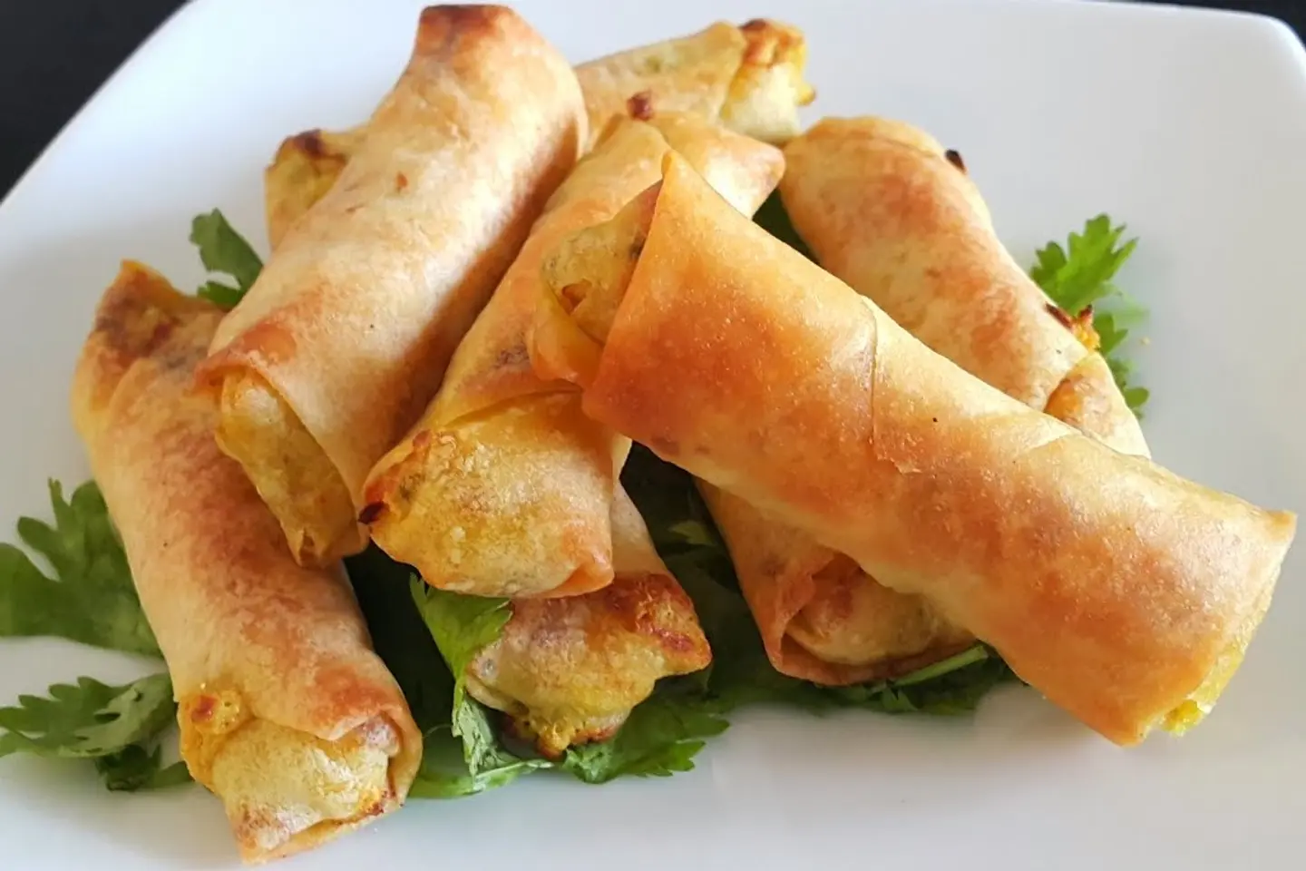 سبرينق رول جبنة - نص كيلو