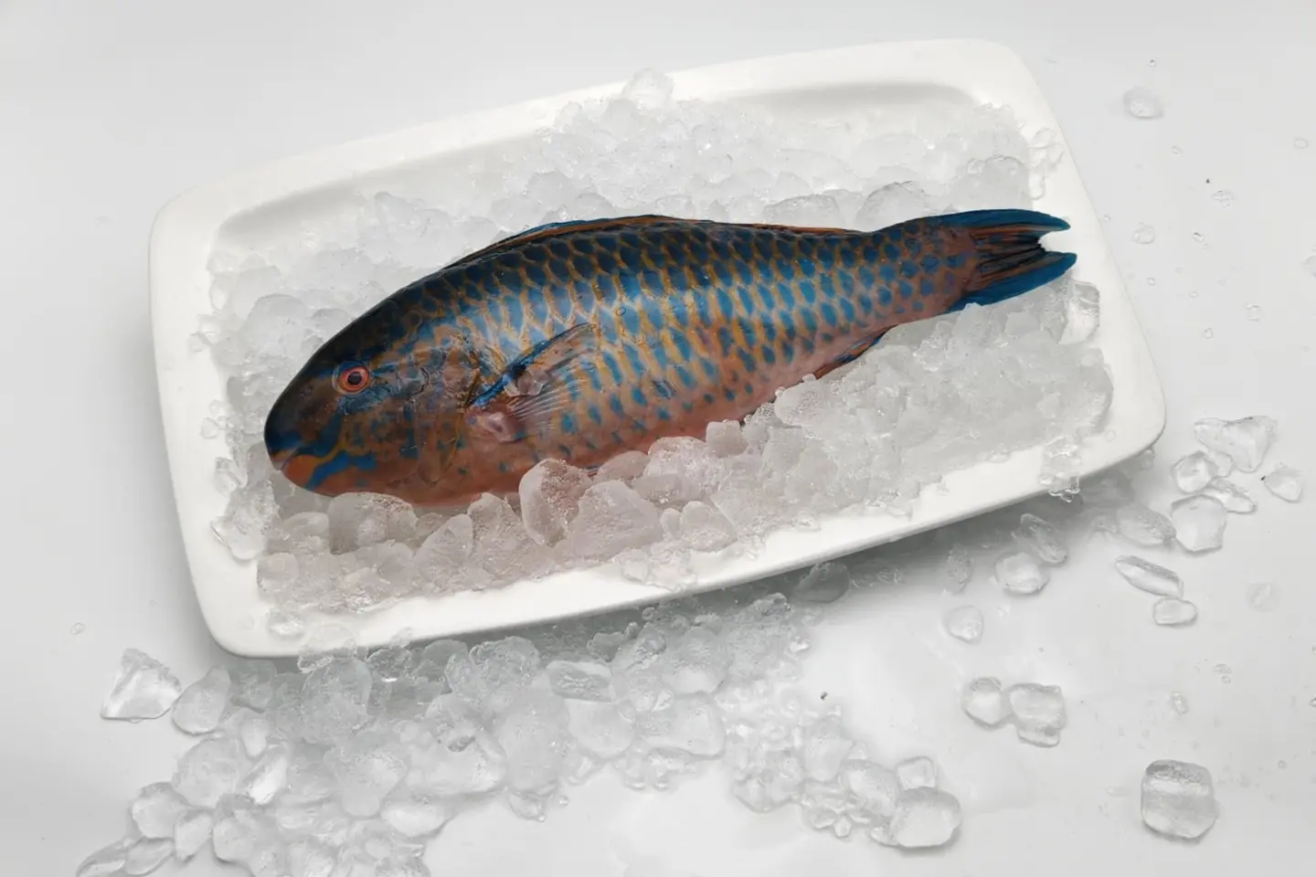 حريد - ٧٠٠ - ٩٠٠ جرام