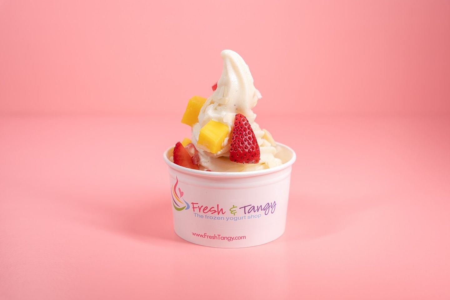 Vanilla Ice Cream - Small