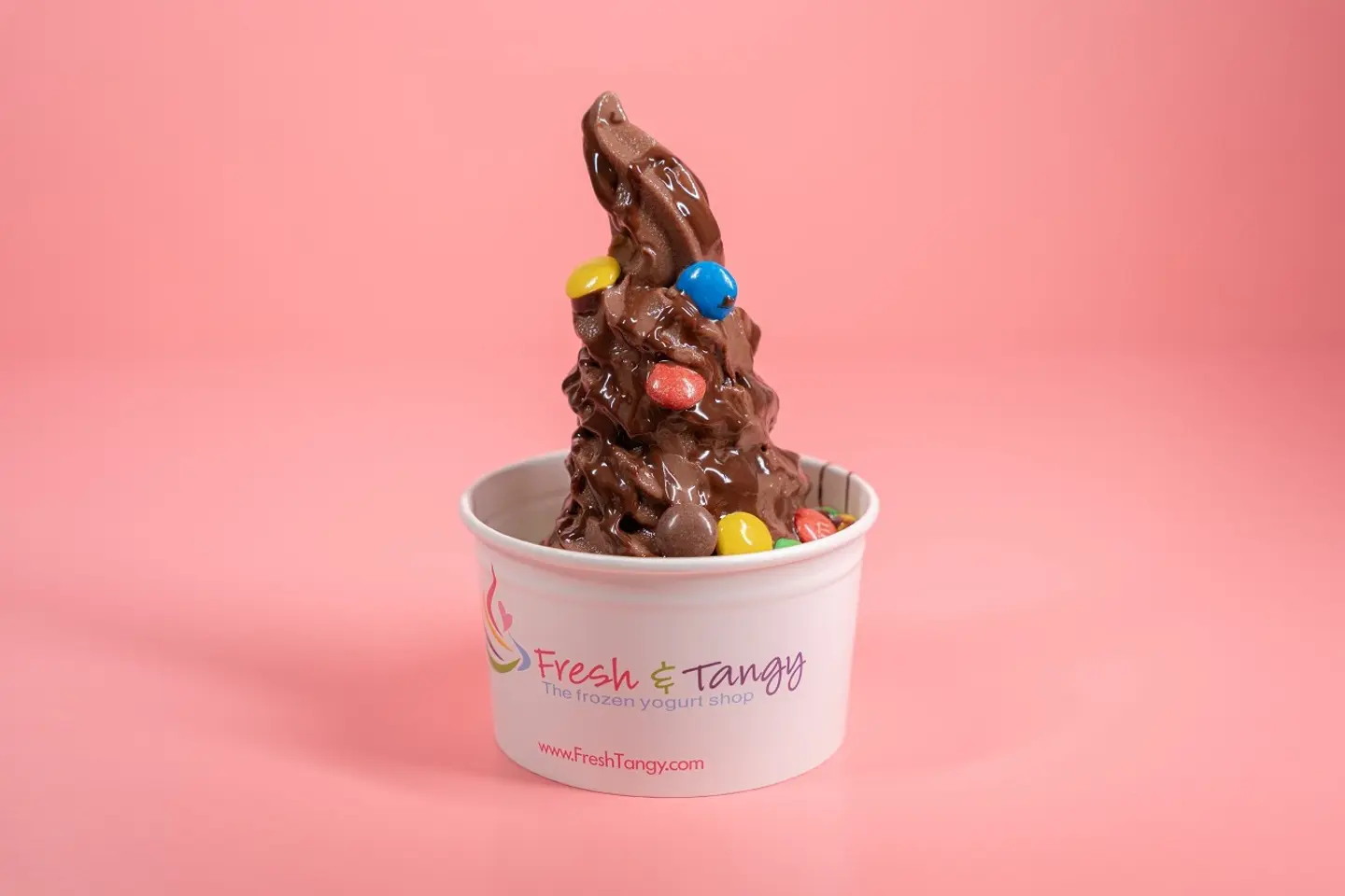 Chocolate Frozen Yogurt - Small