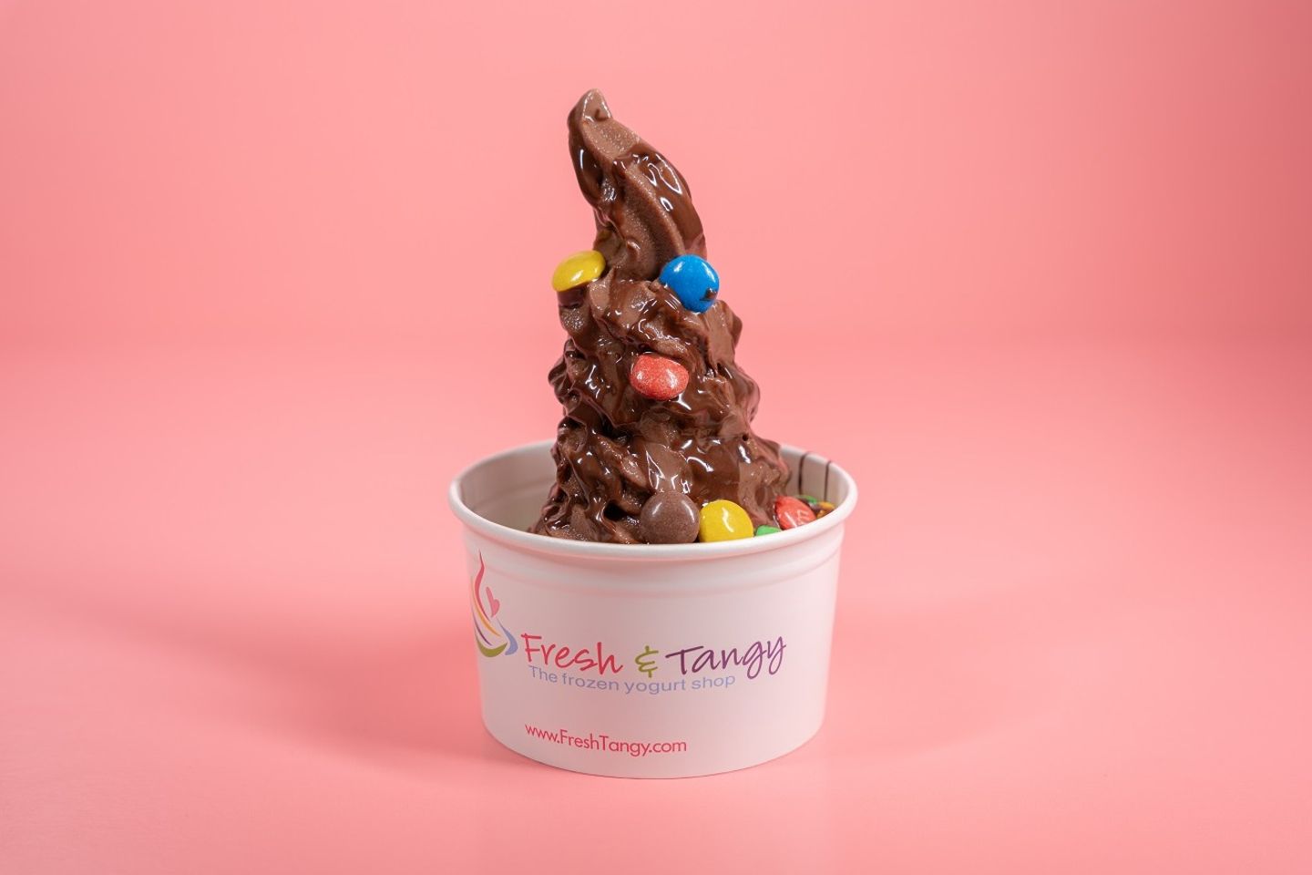 Chocolate Frozen Yogurt - Small