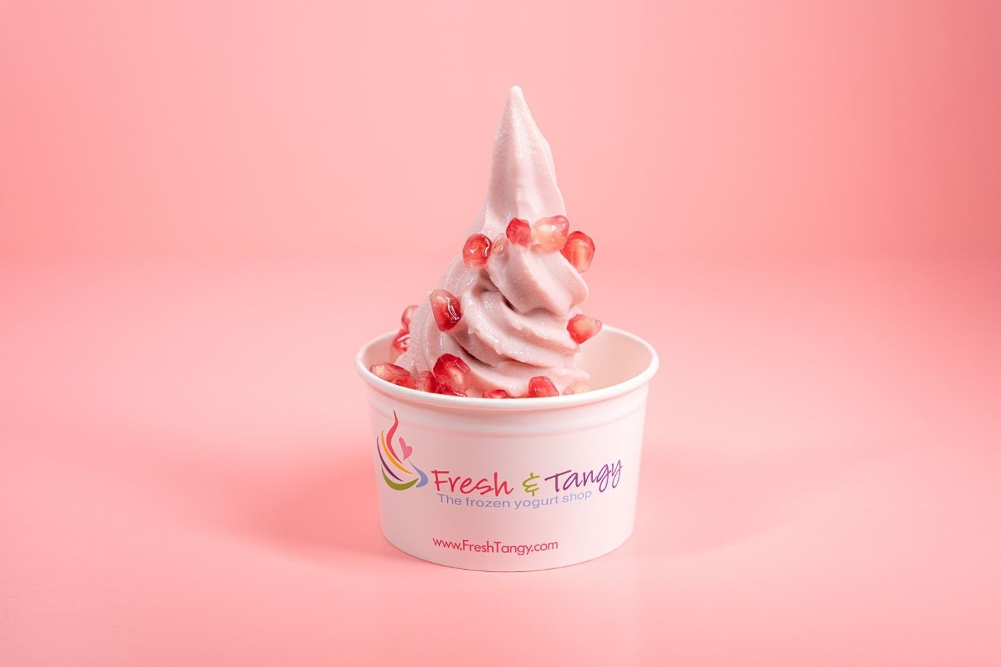 Pomegranate Frozen Yogurt - Small