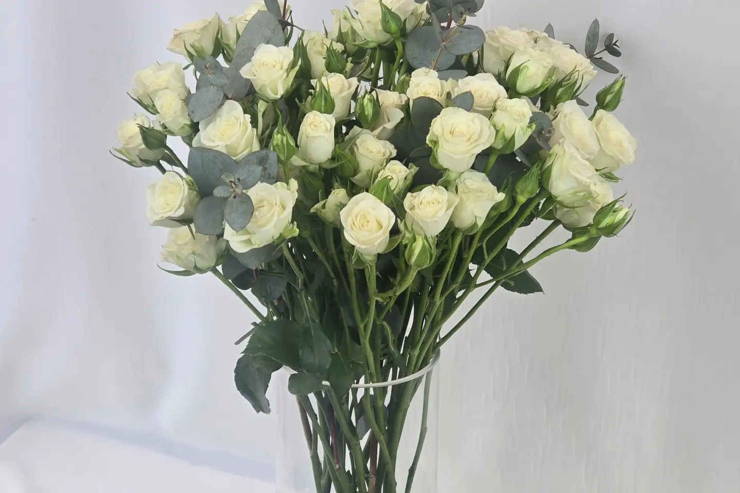 فازة بيبي روز ابيض - ٢٠اغصان